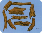 中药学专业一,章节练习,基础复习,真题练习