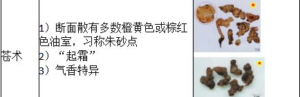 中药学专业一,章节练习,基础复习,真题练习