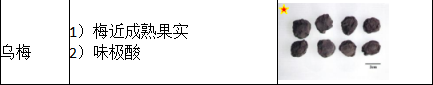 中药学专业一,章节练习,基础复习,真题练习