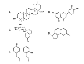 中药学专业一,章节练习,中药学专业一真题