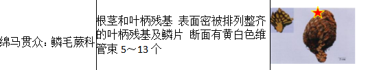 中药学专业一,历年真题,2021年执业药师考试《中药学专业知识一》真题