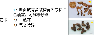 中药学专业一,历年真题,2021年执业药师考试《中药学专业知识一》真题