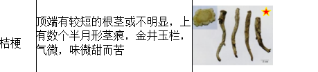 中药学专业一,历年真题,2021年执业药师考试《中药学专业知识一》真题