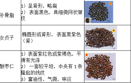 中药学专业一,历年真题,2021年执业药师考试《中药学专业知识一》真题