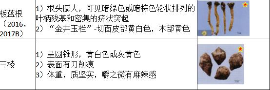 中药学专业一,历年真题,2021年执业药师考试《中药学专业知识一》真题