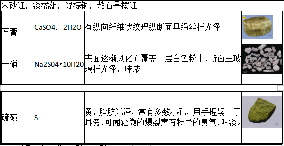 中药学专业一,历年真题,2021年执业药师考试《中药学专业知识一》真题