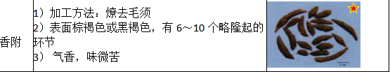 中药学专业一,历年真题,2021年执业药师考试《中药学专业知识一》真题