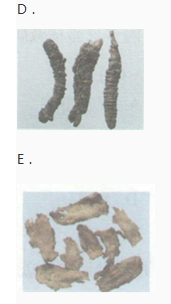 中药学专业一,章节练习,中药学专业一模拟