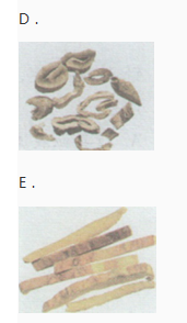 中药学专业一,章节练习,中药学专业一模拟题