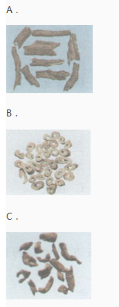中药学专业一,章节练习,中药学专业一模拟题