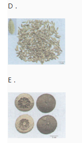 中药学专业一,章节练习,中药学专业一模拟题