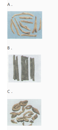 中药学专业一,章节练习,中药学专业一模拟题