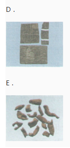 中药学专业一,章节练习,中药学专业一模拟题