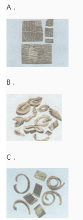 中药学专业一,章节练习,中药学专业一模拟题