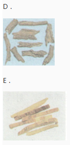 中药学专业一,章节练习,中药学专业一模拟题