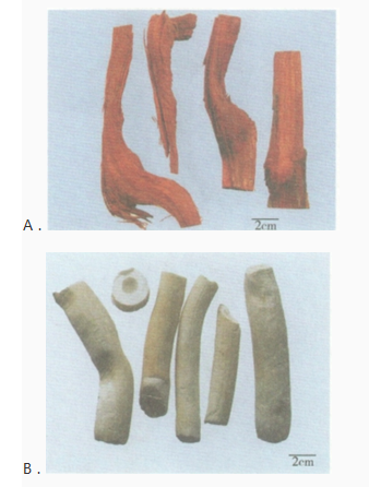 中药学专业一,章节练习,中药学专业一模拟题