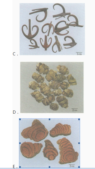 中药学专业一,章节练习,中药学专业一模拟题