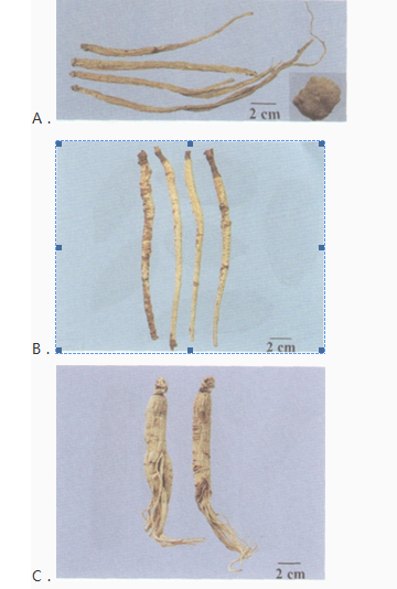 中药学专业一,章节练习,中药学专业一模拟题