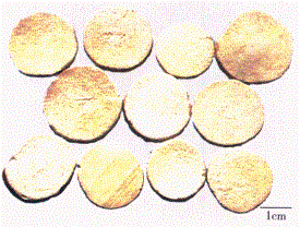 中药学专业一,章节练习,中药学专业一模拟