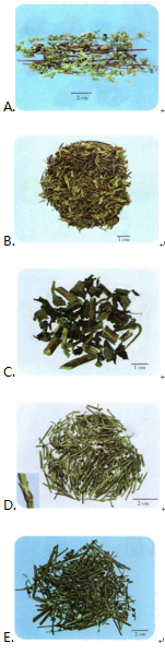 中药学专业一,章节练习,中药学专业一预测 中药学专业一,章节练习,中药学专业一预测