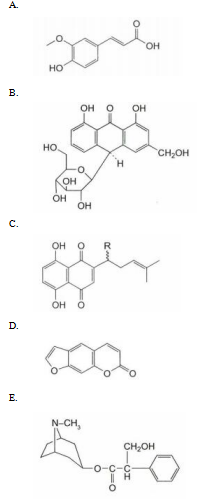 中药学专业一,章节练习,中药学专业一预测