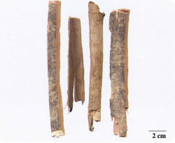 中药学专业一,章节练习,中药学专业一预测