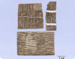 中药学专业一,章节练习,中药学专业一预测