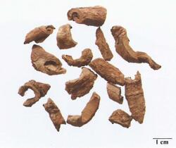 中药学专业一,章节练习,中药学专业一预测