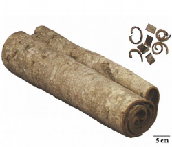 中药学专业一,章节练习,中药学专业一预测