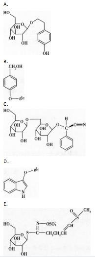 中药学专业一,章节练习,中药学专业一模拟