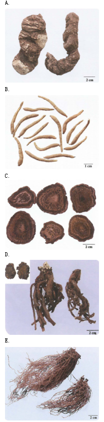 中药学专业一,章节练习,中药学专业一真题 中药学专业一,章节练习,中药学专业一真题