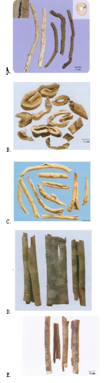 中药学专业一,章节练习,中药学专业一真题