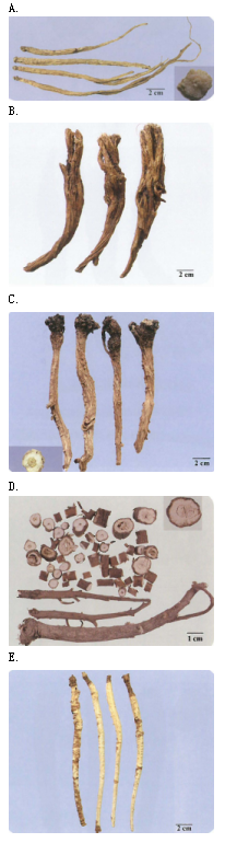 中药学专业一,章节练习,中药学专业一真题