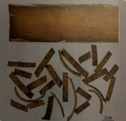中药学专业一,章节练习,常用中药的鉴别