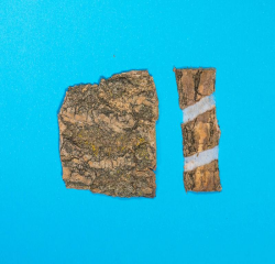 中药学专业一,章节练习,常用中药的鉴别