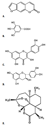 中药学专业一,章节练习,中药化学成分与药理作用