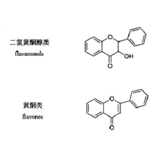 中药学专业一,章节练习,中药化学成分与药理作用