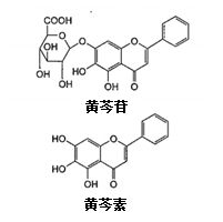 中药学专业一,章节练习,中药化学成分与药理作用