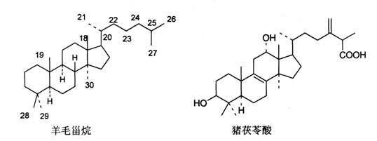 中药学专业一,章节练习,中药化学成分与药理作用 中药学专业一,章节练习,中药化学成分与药理作用