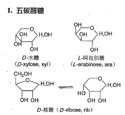 中药学专业一,章节练习,中药化学成分与药理作用