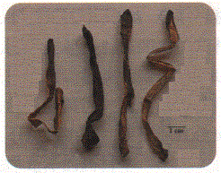 中药学专业一,章节练习,常用中药的鉴别