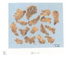 中药学专业一,模拟考试,2021年执业药师考试《中药学专业知识一》模拟试卷4