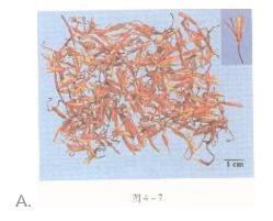 中药学专业一,模拟考试,2021年执业药师考试《中药学专业知识一》模拟试卷3