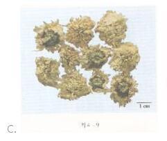 中药学专业一,模拟考试,2021年执业药师考试《中药学专业知识一》模拟试卷3