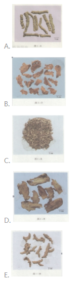 中药学专业一,点睛提分卷,2021年执业药师考试《中药学专业知识一》点睛提分卷5