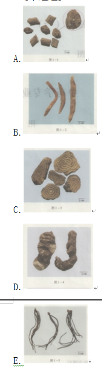 中药学专业一,点睛提分卷,2021年执业药师考试《中药学专业知识一》点睛提分卷5