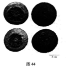 中药学专业一,点睛提分卷,2021年执业药师考试《中药学专业知识一》点睛提分卷4