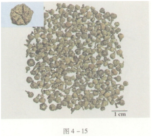 中药学专业一,预测试卷,2021年执业药师考试《中药学专业知识一》名师预测卷3