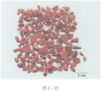 中药学专业一,预测试卷,2021年执业药师考试《中药学专业知识一》名师预测卷4