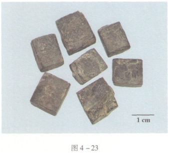 中药学专业一,预测试卷,2021年执业药师考试《中药学专业知识一》名师预测卷4